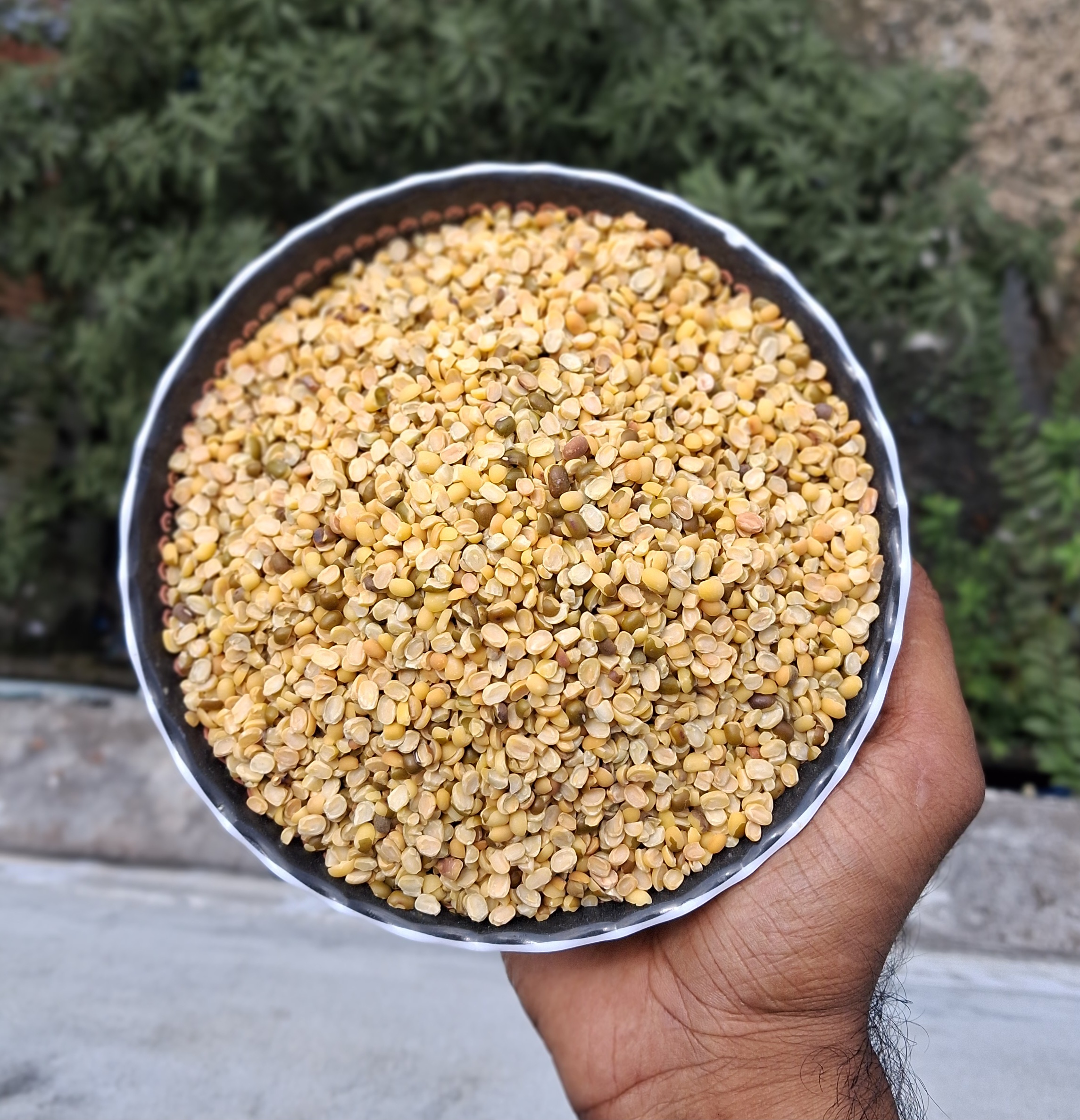 দেশি ভাজা মুগের ডাল